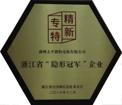 浙江省隱形冠軍